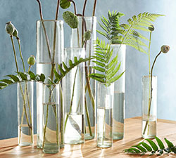 Great Gifts: $50 & Under